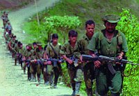 Колумбийские террористы из организации FARC (Фото: Public Domain)
