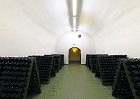 Фото: Архив компании Bohemia Sekt