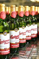 Фото: Budweiser Budvar