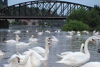 Фото: Jiří Roun, fotokartmen.cz