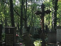 Ольшанское кладбище (Фото: Штепанка Будкова, Чешское радио - Радио Прага)