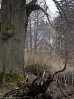 Вышковице (Фото: Аннэ Лунгова, Чешское радио - Радио Прага)