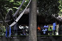 Limbe Wildlife Centre (Фото: Петр Славик)