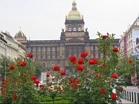 Национальный музей (Фото: Кристина Макова, Чешское радио - Радио Прага)