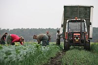 Фото: Архив компании Bramko