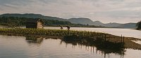 «Кукурузный остров» (Фото: Film Servis Festival Karlovy Vary)