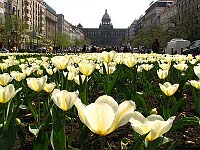 Вацлавская площадь (Фото: Кристина Макова, Чешское радио - Радио Прага)